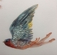 Detail of Avianima V