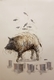 The Boar